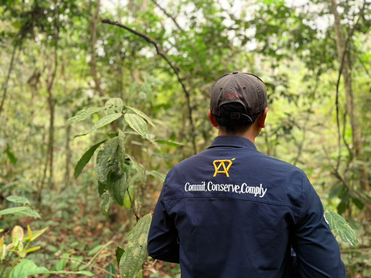 Dukungan Teknis PBPH: Membangun Pengelolaan Hutan yang Terencana dan Berkelanjutan
