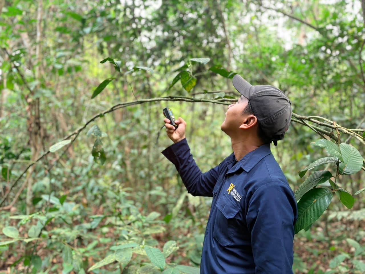 Survei Potensi Hutan: Dasar Perencanaan Pengelolaan Hutan Berkelanjutan